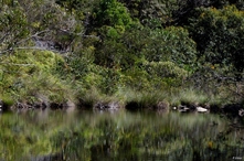 Photographies du Parc National de la Serra do Cipó - Etat de Minas Gerais