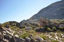 Photographies du Parc National de la Serra do Cipó - Etat de Minas Gerais