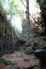 Vignette du Parc du Jalapao et de ses environs - Etat de Tocantins