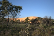 Vignette du Parc du Jalapao et de ses environs - Etat de Tocantins