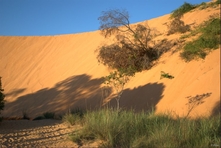 Vignette du Parc du Jalapao et de ses environs - Etat de Tocantins