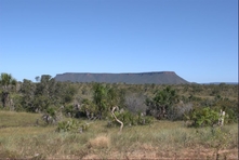 Vignette du Parc du Jalapao et de ses environs - Etat de Tocantins