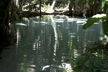 Vignette du Parc du Jalapao et de ses environs - Etat de Tocantins