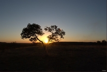 Vignette du Parc du Jalapao et de ses environs - Etat de Tocantins