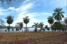 Vignette de la région du lac Serra da Mesa et du nord et de l'ouest de Goias