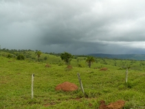 Vignette de la région du lac Serra da Mesa et du nord et de l'ouest de Goias