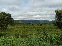 Vignette de la région du lac Serra da Mesa et du nord et de l'ouest de Goias