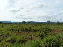 Vignette de la région du lac Serra da Mesa et du nord et de l'ouest de Goias