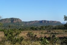 Vignette de l'est de l'état de Mato Grosso - Culture intensive