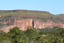 Vignette de l'est de l'état de Mato Grosso - Culture intensive