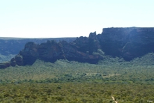 Vignette de la Chapada dos Guimaraes de l\'état de Mato Grosso