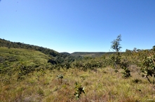 Vignette du parc ou reserve de protection de la faune et de la flore du parc de Pirenópolis - Etat de Goiás