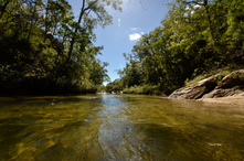 Vignette du parc ou reserve de protection de la faune et de la flore du parc de Pirenópolis - Etat de Goiás