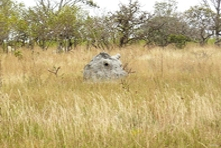 Vignette du parc ou reserve de protection de la faune et de la flore du parc de Pirenópolis - Etat de Goiás