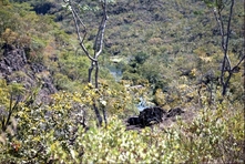 Photo vignette de la Chapada dos Veadeiros - Etat de Goiás