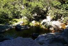 Photo vignette de la Chapada dos Veadeiros - Etat de Goiás