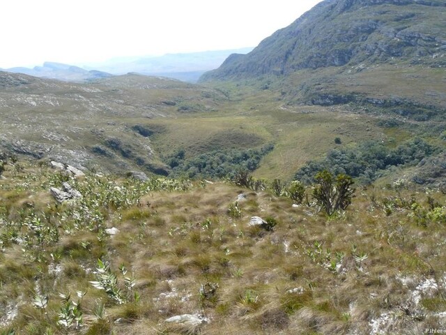 Photographies du Parc National de la Serra do Cipó - Etat de Minas Gerais