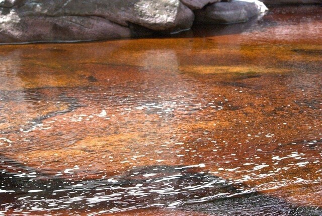 Photo du Parc de Mucugê - Chapada Diamantina - Etat de Bahia