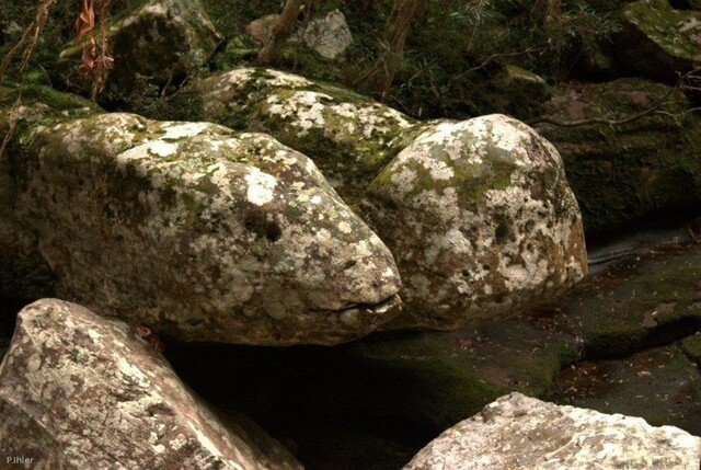 Photo du Parc de Mucugê - Chapada Diamantina - Etat de Bahia