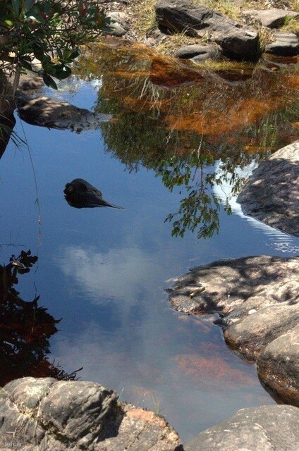 Photo du Parc de Mucugê - Chapada Diamantina - Etat de Bahia