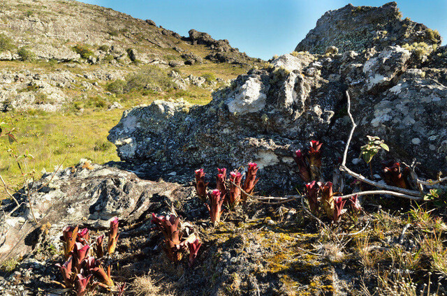 Photographie du parc de Itambé et de la petite ville de Serro