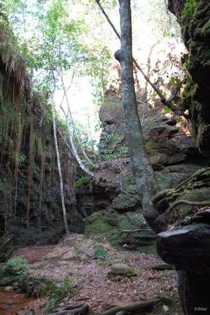 Photo du Parc du Jalapao - Etat du Tocantins