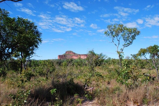 Photo du Parc du Jalapao - Etat du Tocantins