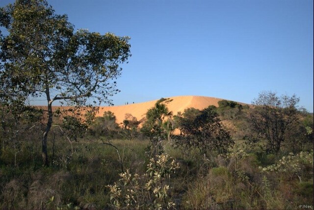 Photo des dunes - Parc du Jalapao - Etat de Tocantins