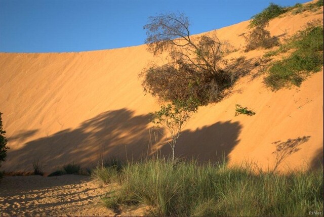 Photo des dunes - Parc du Jalapao - Etat de Tocantins