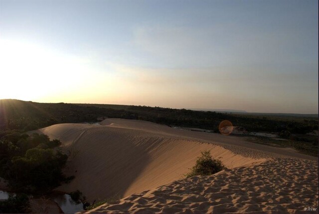 Photo des dunes - Parc du Jalapao - Etat de Tocantins