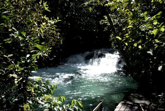 Photo de Mateiros et environs, quilombos, cachoeiras - Parc du Jalapao - Etat de Tocantins