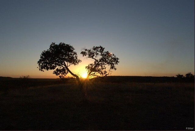 Photo du Parc du Jalapao - Etat du Tocantins