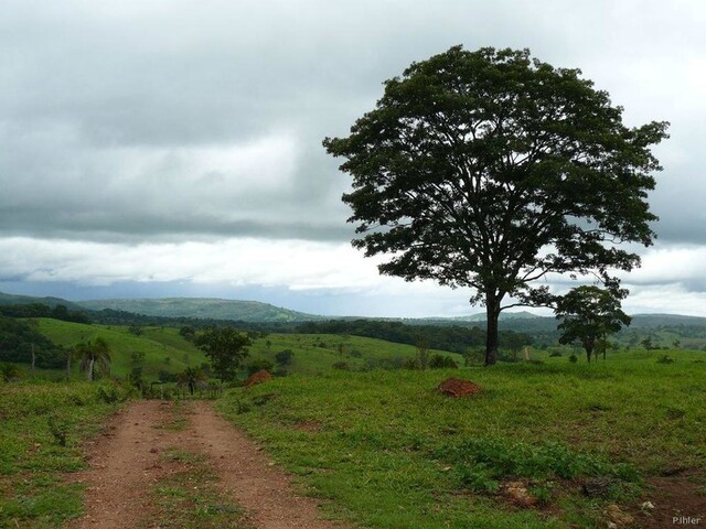 Photo de la partie nord de l\'état de Goiás