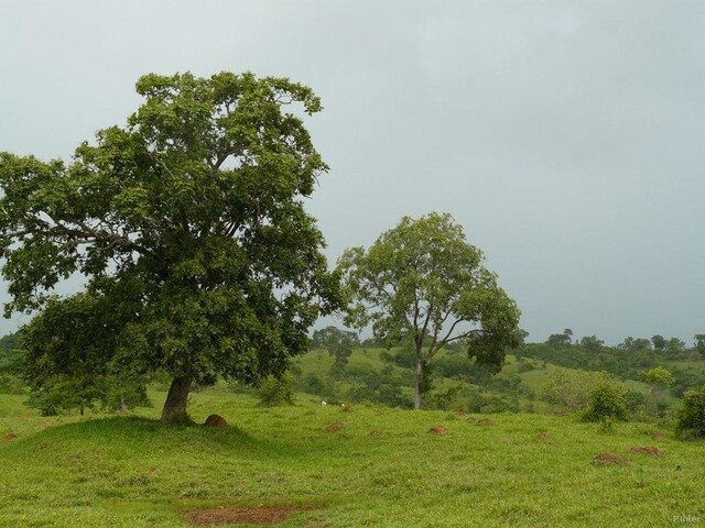 Photo de la partie nord de l\'état de Goiás