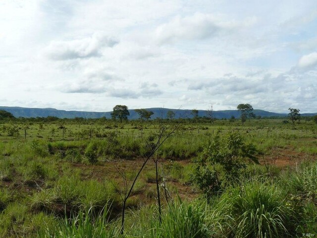 Photo de la partie nord de l\'état de Goiás