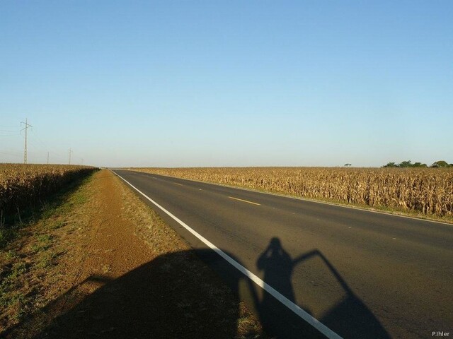 Vignette de l'est de l'état de Mato Grosso - Culture intensive