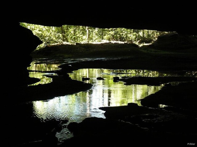 Vignette de la Chapada dos Guimaraes de l\'état de Mato Grosso