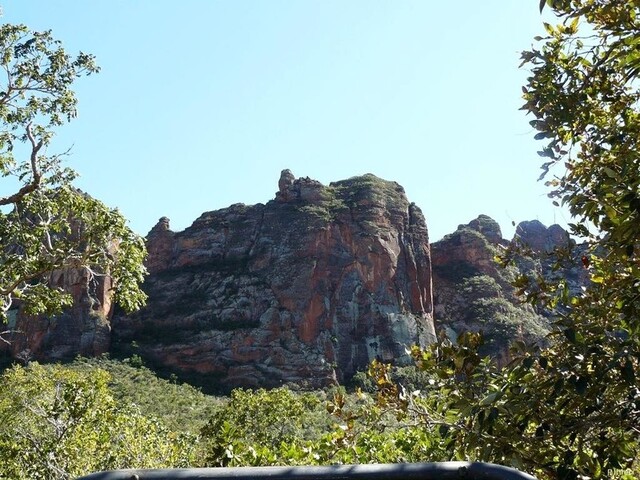 Vignette de la Chapada dos Guimaraes de l\'état de Mato Grosso