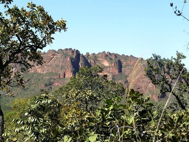 Vignette de la Chapada dos Guimaraes de l\'état de Mato Grosso