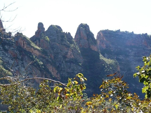 Vignette de la Chapada dos Guimaraes de l\'état de Mato Grosso