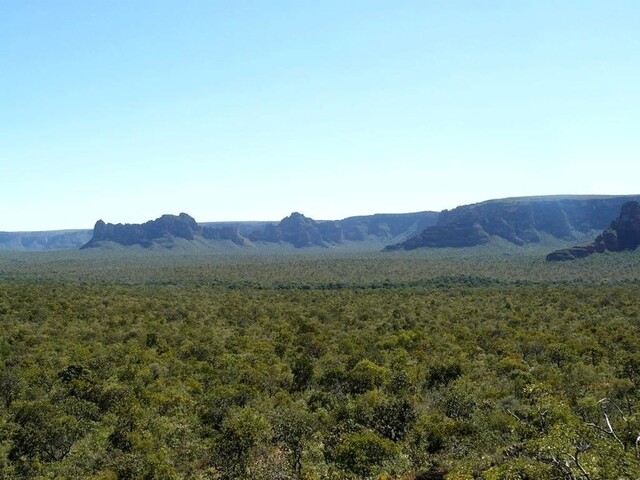 Vignette de la Chapada dos Guimaraes de l\'état de Mato Grosso