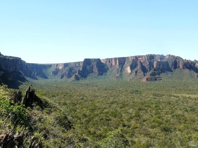 Vignette de la Chapada dos Guimaraes de l\'état de Mato Grosso