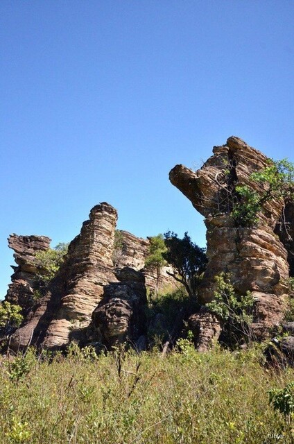 Photo du parc ou reserve pour la protection de la faune et de la flore de Pirenópolis - Etat de Goiás