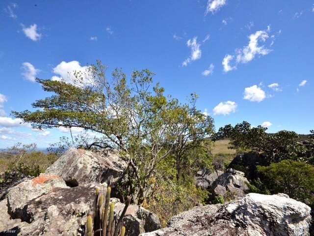 Photo du parc ou reserve pour la protection de la faune et de la flore de Pirenópolis - Etat de Goiás