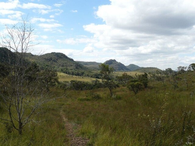 Photo du parc ou reserve pour la protection de la faune et de la flore de Pirenópolis - Etat de Goiás