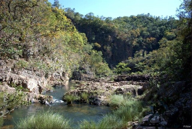 Photo de la cachoeira sur la rivière Macoquinho - Chapada dos Veadeiros - Etat de Goiás