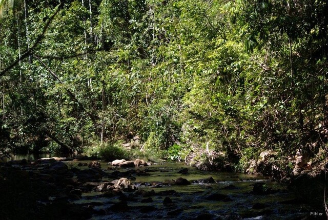 Photo de la cachoeira sur la rivière Macoquinho - Chapada dos Veadeiros - Etat de Goiás